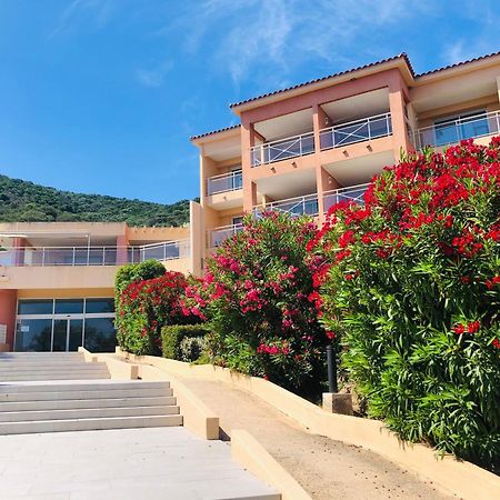 Evasion Corse - T2 Vue Mer, Piscine & Plage Аячо Екстериор снимка