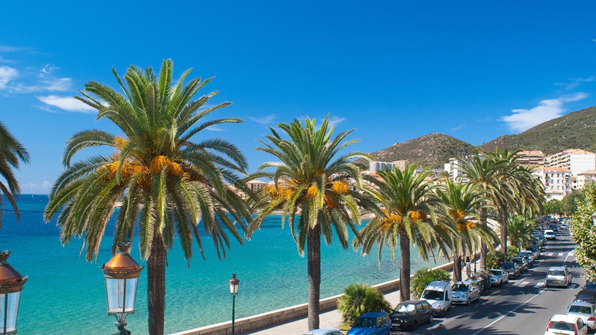 Evasion Corse - T2 Vue Mer, Piscine & Plage Аячо Екстериор снимка