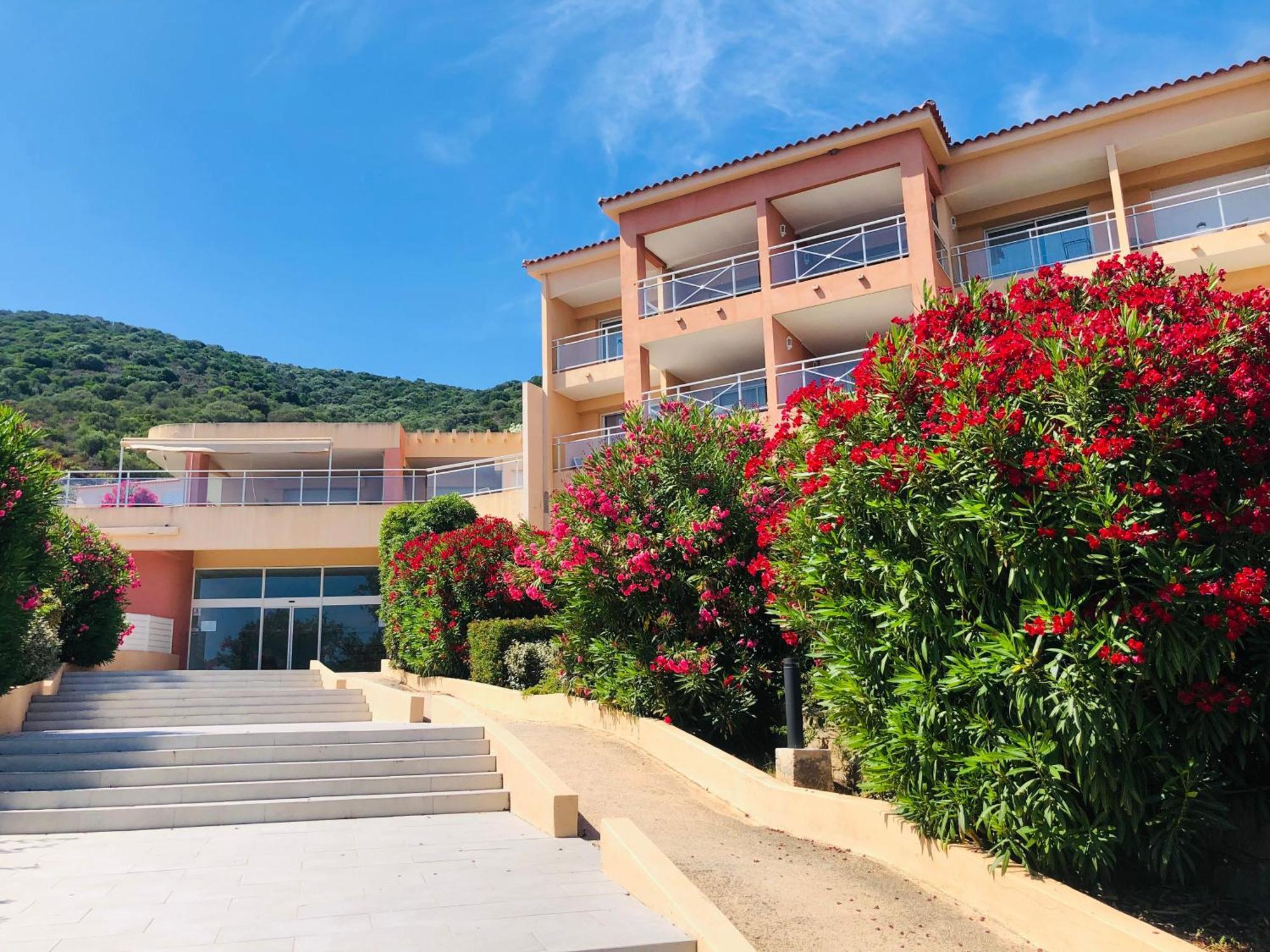 Evasion Corse - T2 Vue Mer, Piscine & Plage Аячо Екстериор снимка