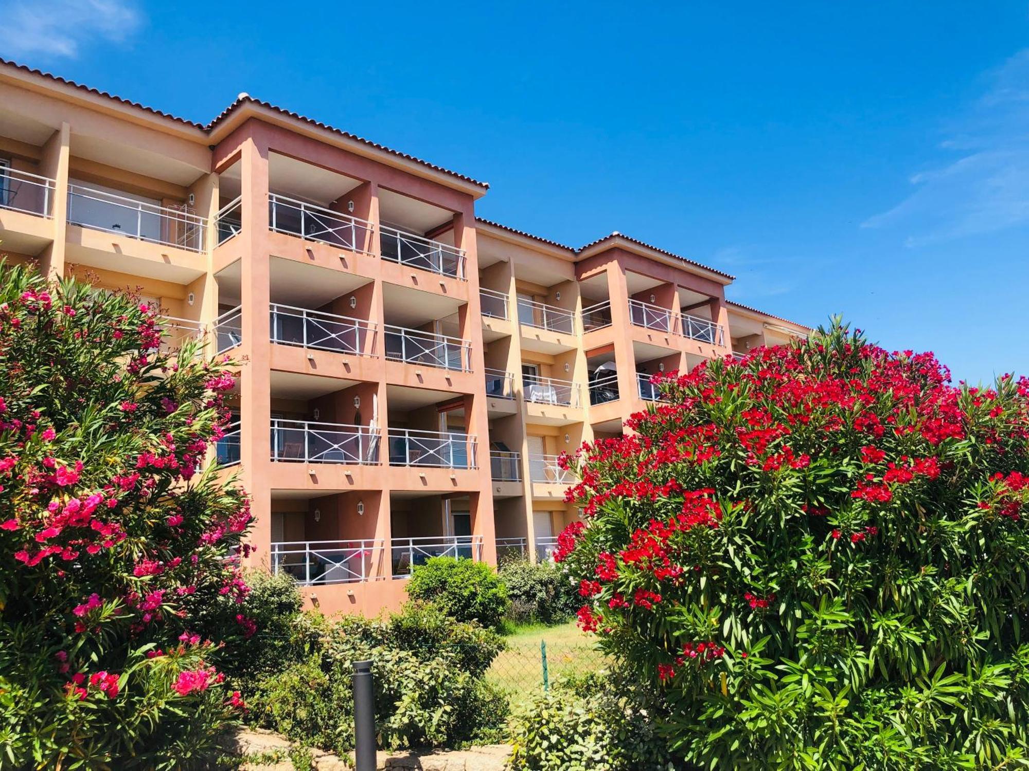 Evasion Corse - T2 Vue Mer, Piscine & Plage Аячо Екстериор снимка